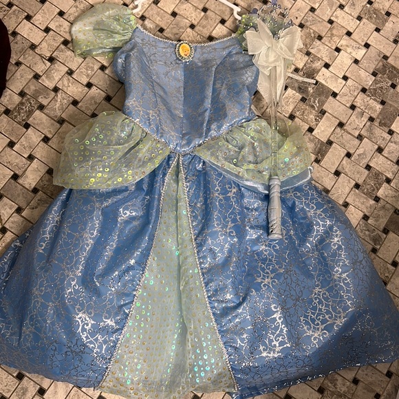 Disney Princess gown Sm 6-6X Purchased in Disney. Brand new with tags. Free wand